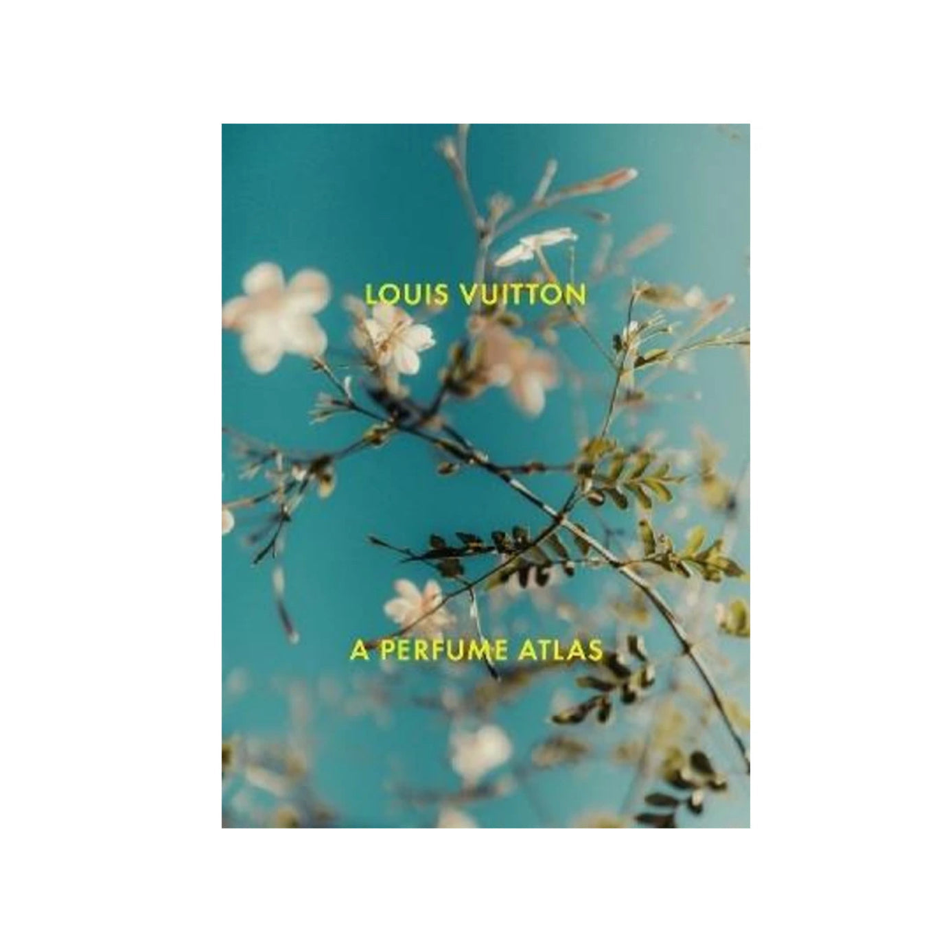 Louis Vuitton A Perfume Atlas
