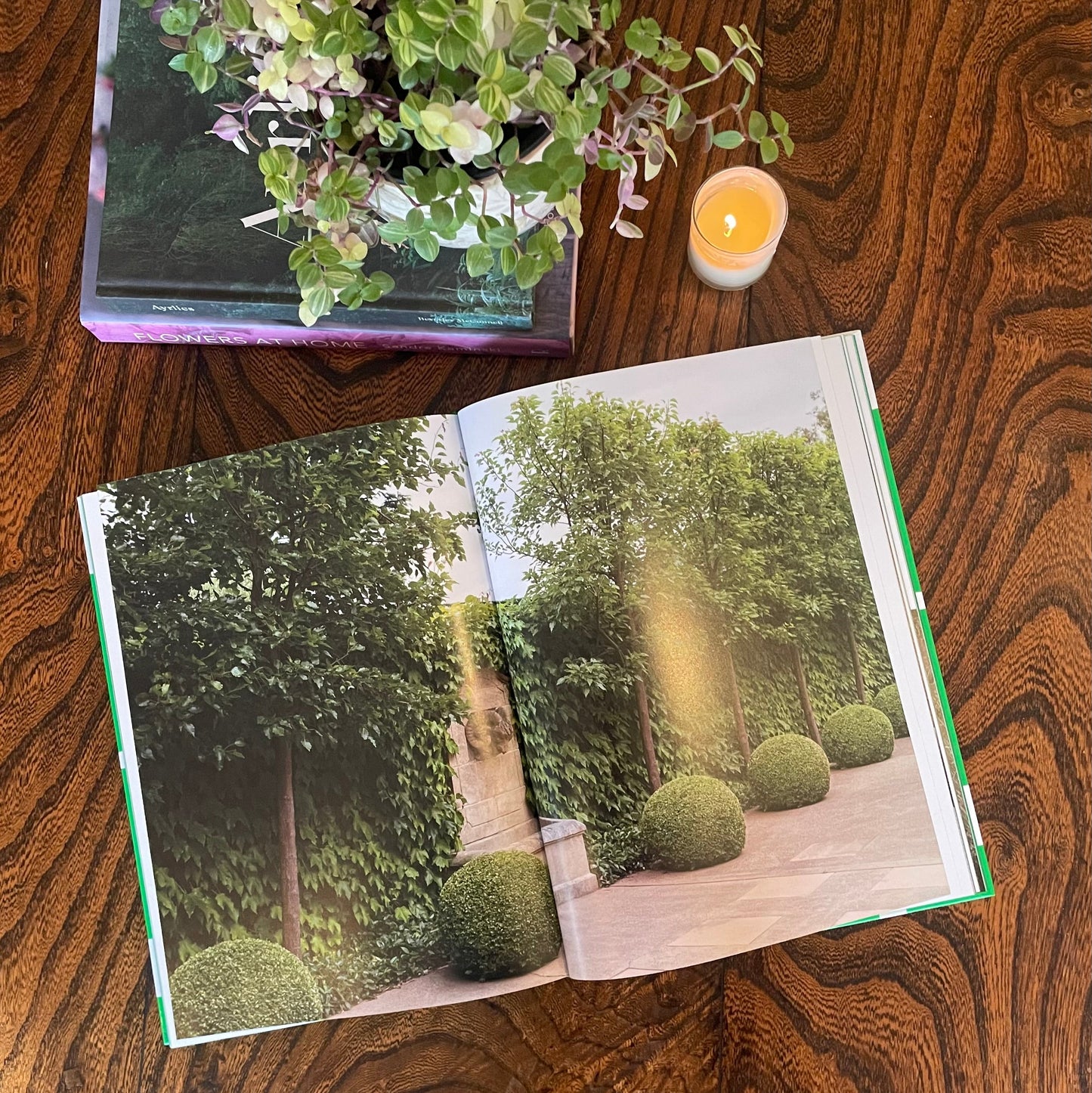 Paul Bangay A Lie in Garden Design
