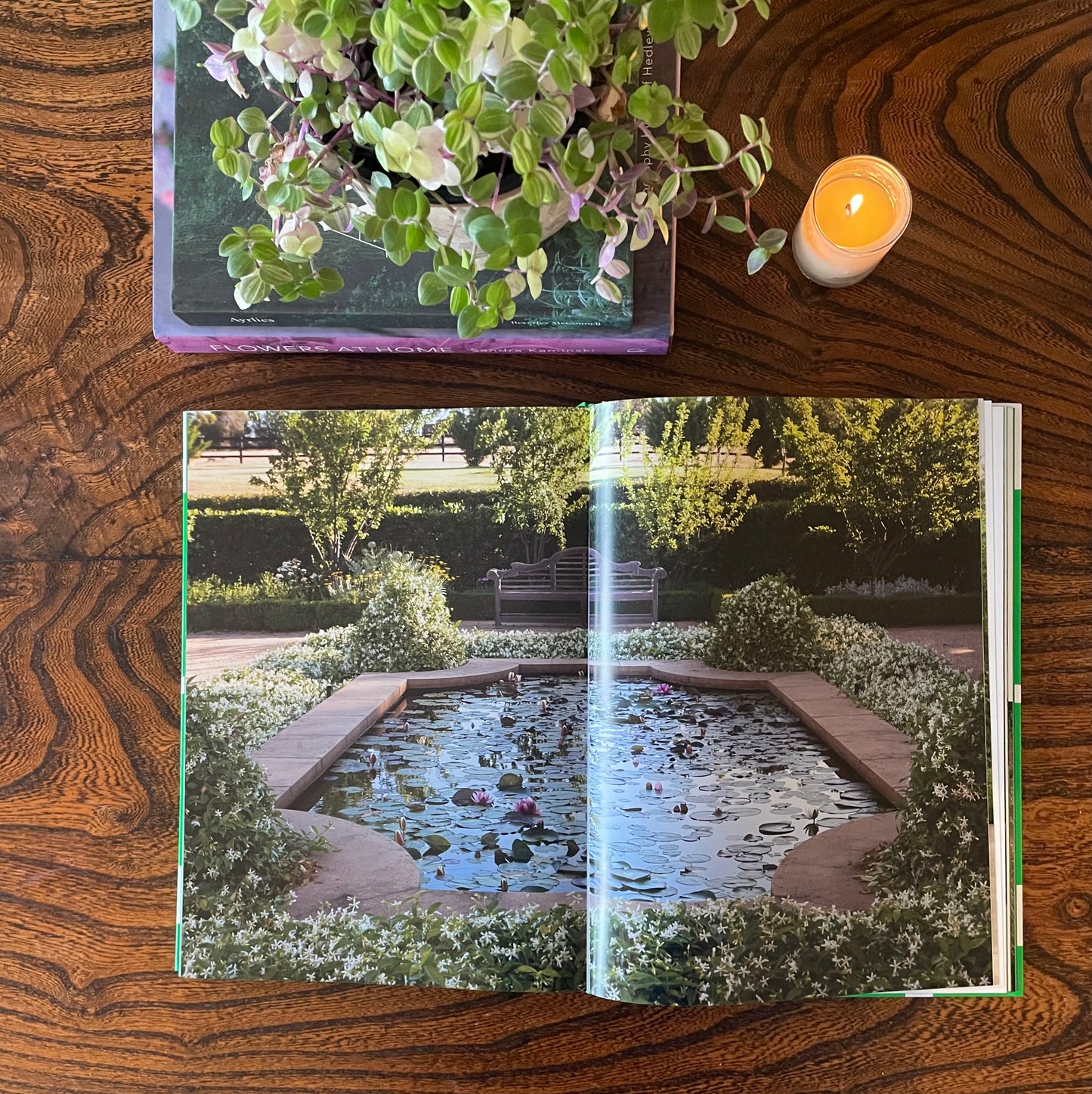Paul Bangay A Lie in Garden Design