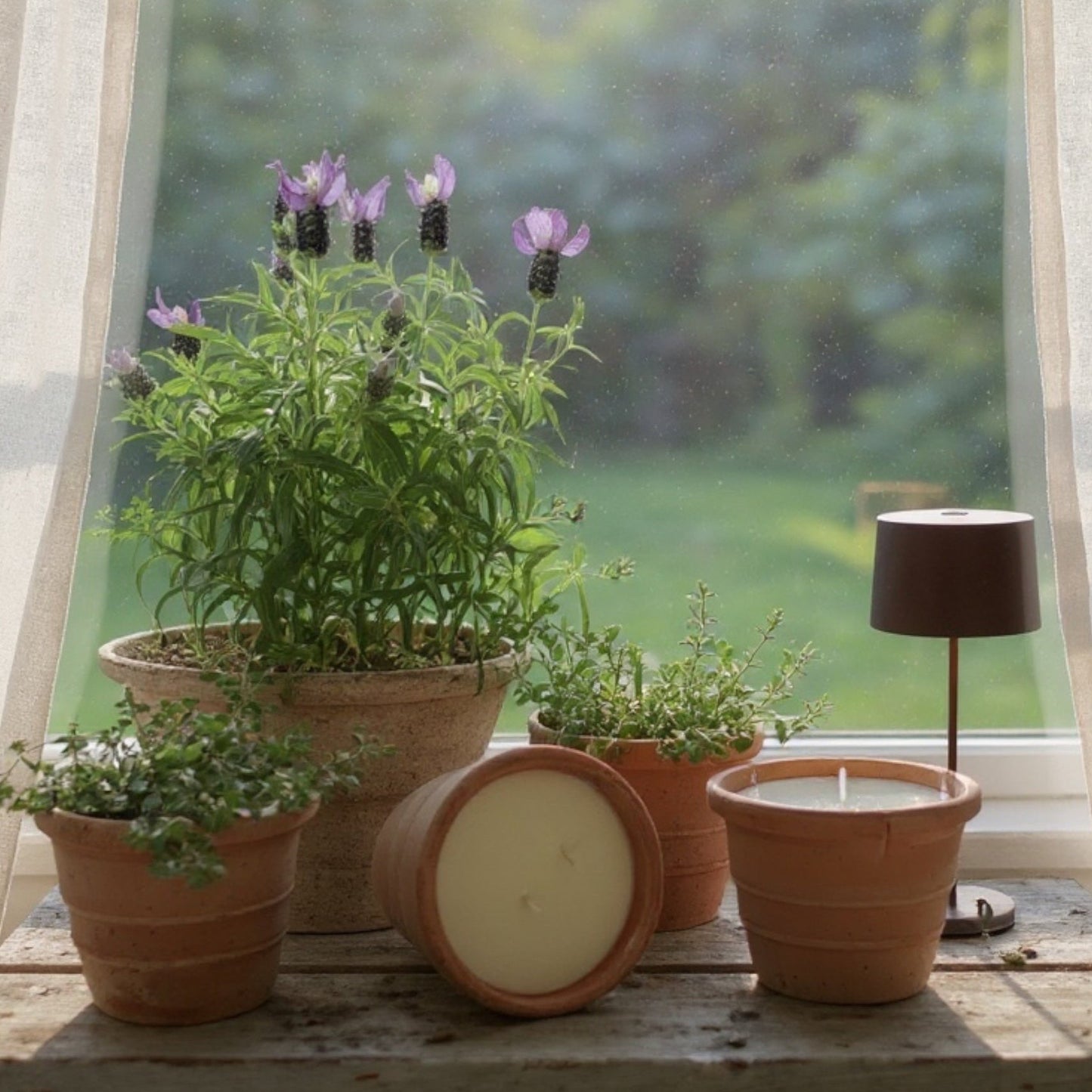 Provence Candle
